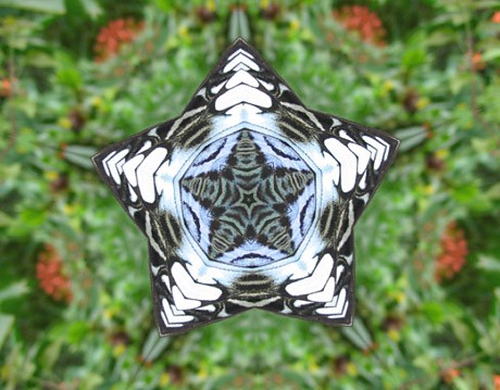 image_trick_kaleidoscope.jpg